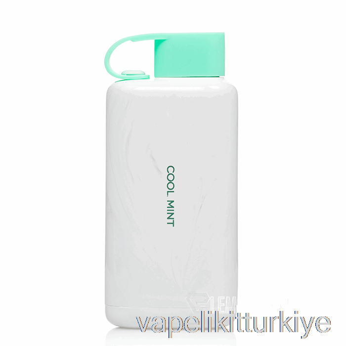 Vape Türkiye Vozol Star 9000 Tek Kullanımlık Serin Nane